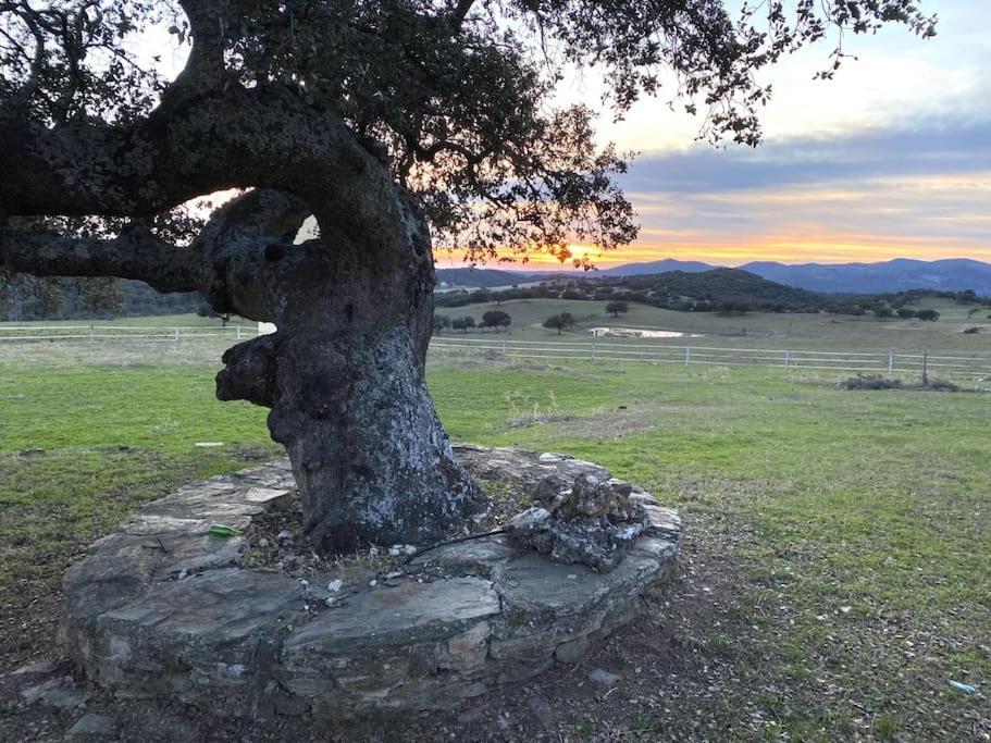 Finca La Alcolehuela En Parque Natural De Despenaperros Санта-Элена Экстерьер фото
